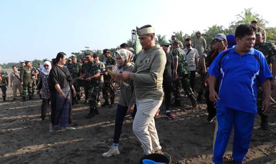 Jaga konservasi lingkungan Â laut , Pangdam III/Siliwangi Mayor Jenderal TNI Kunto Arief Wibowo, S.I.P., melepasliarkan Penyu dewasa dari pesisir Pantai Pangandaran