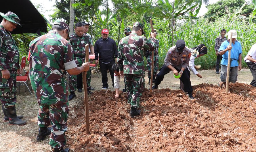 Tingkatkan Ketahanan Pangan,Dandim 0613 Ciamis Pimpin Tanam Jagung