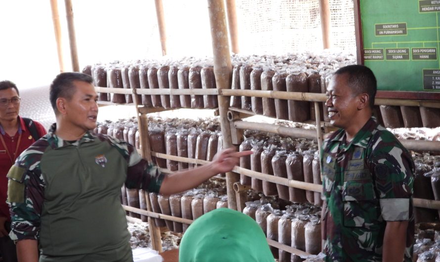 Pangdam III/Siliwangi Mayor Jenderal TNI Kunto Arief Wibowo, S.I.P., bersama Ketua Persit Kartika Chandra Kirana Daerah III/Siliwangi Ny. Mia Kunto Arief Wibowo meninjau lokasi budidaya Jamur dan olahan jamur crispy anggota Kodim 0613/Ciamis