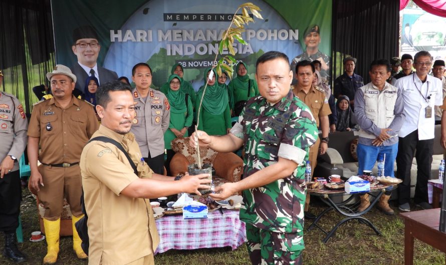 Peduli Lingkungan Kodim 0613 Ciamis Tanam Ribuan Pohon di Ciamis