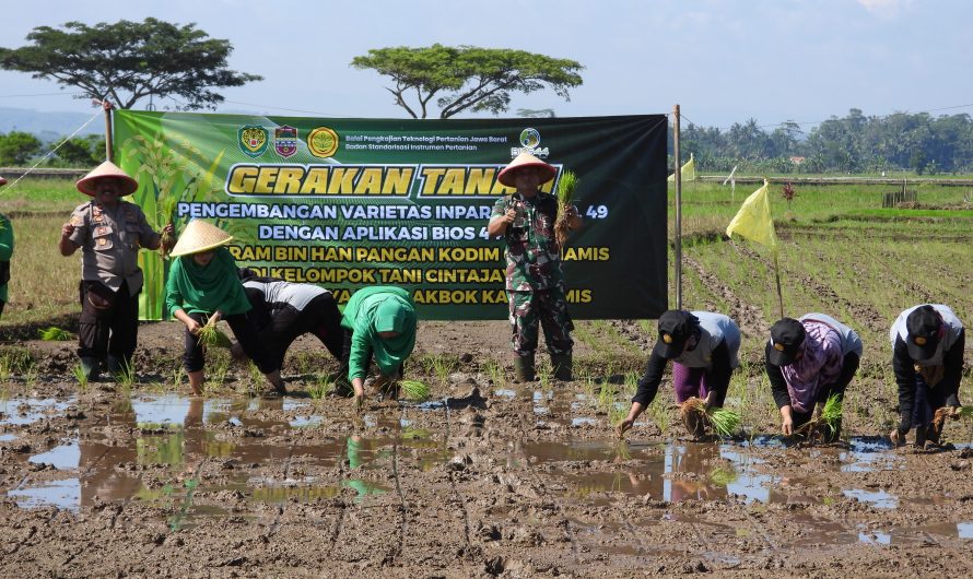 Dandim Ciamis Pimpin langsung penanaman Padi di lahan Demplot ketahanan Pangan Bios 44