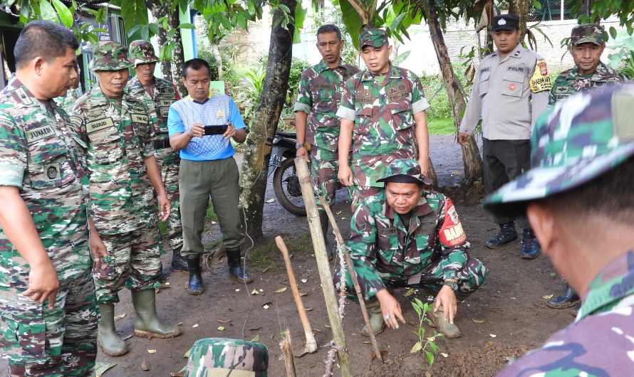 Danramil Banjar Ajak Warga Tanam Cabe di Pekarangan Rumah dan Lahan Kosong
