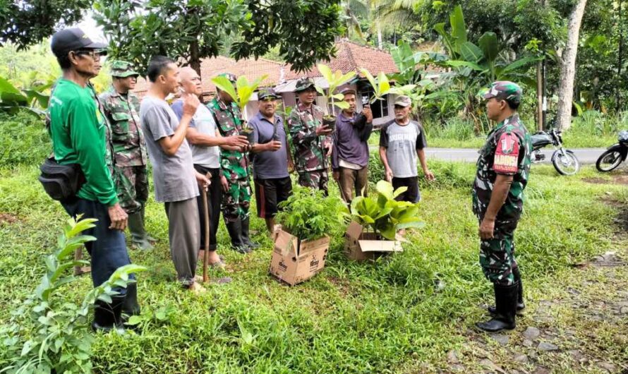 Anggota Koramil 1312/Cisaga Gelar Karya Bakti Penanaman Pohon