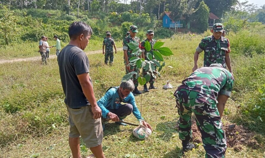Dukung Penghijauan Di Wilayah Binaan, Anggota Koramil Cijeunjing Bersama Warga Masyarakat Tanam Pohon