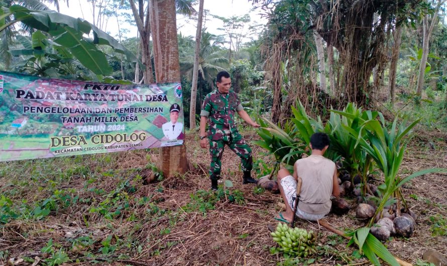 Babinsa Koramil 1314/Cimaragas Ikuti Kegiatan Padat Karya Tunai Desa
