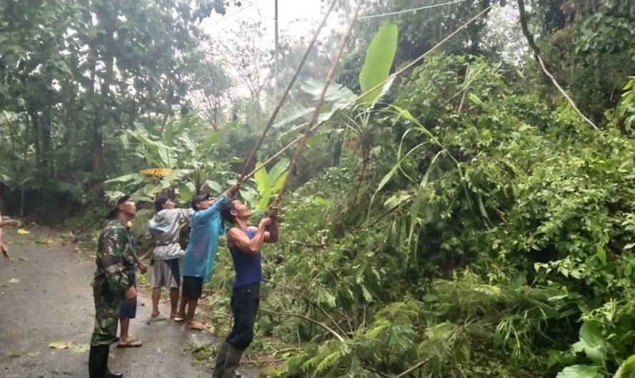 Babinsa Rejasari Bersama Warga Singkirkan Ranting Pohon yang menimpa Kabel Listrik