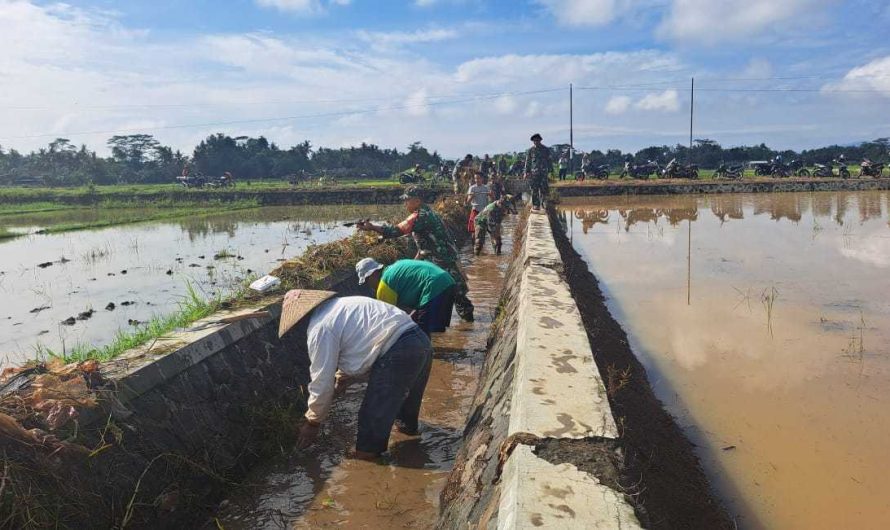 Cegah banjir dan memastikan saluran irigasi berjalan lancar, anggota Koramil 1318/Langensari Kodim 0613/Ciamis bersama Perangkat Desa, PPL dan warga gotong royong bersihkan saluran air