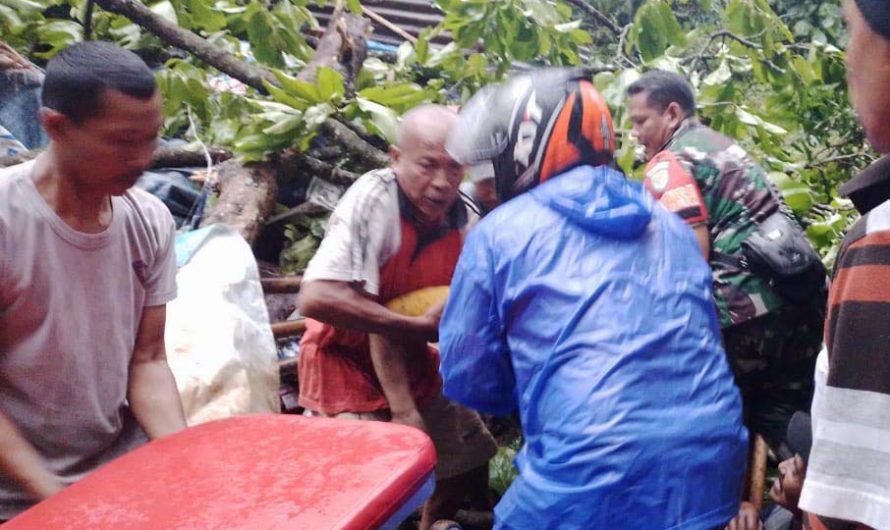 Sertu Dendi Babinsa Kodim 0613 Ciamis Gerak Cepat Bantu Evakuasi Korban Tertimpa Pohon