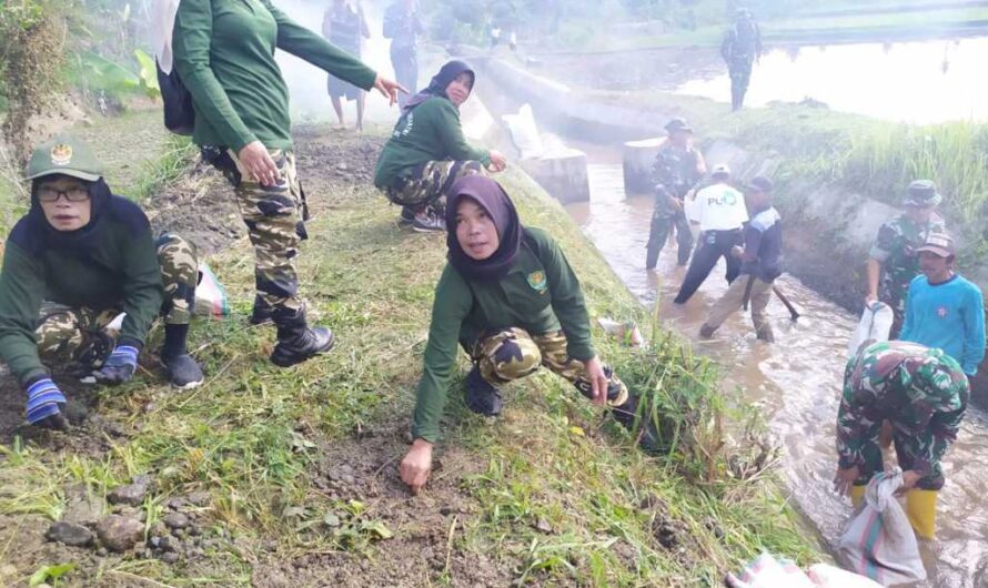 TNI Lakukan Pembersihan Saluran Air Irigasi di Ciamis