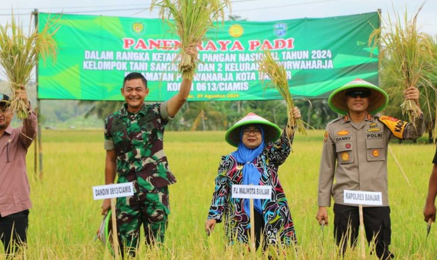 Panen Raya, Dandim 0613/Ciamis: Mari Wujudkan Swasembada Pangan