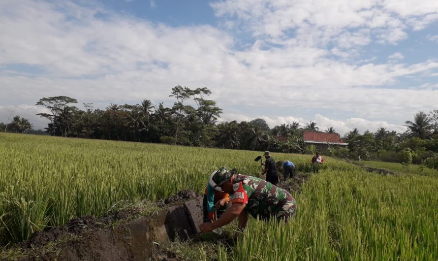 Peran Aktif Babinsa Tambakreja Koramil 1315/Lakbok dalam Program Padat Karya Desa Normalisasi Saluran Irigasi