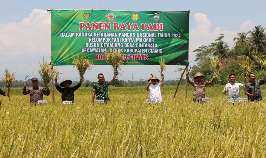 Kodim 0613/Ciamis laksanakan panen raya padi dalam rangka Ketahanan Pangan Nasional tahun 2024