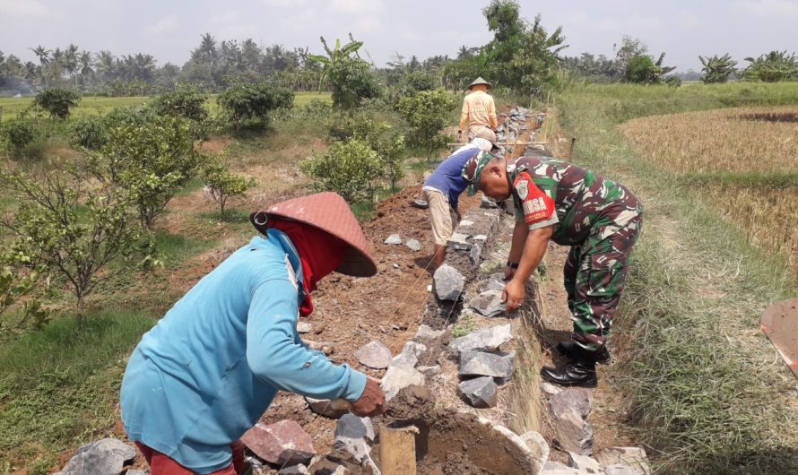 Babinsa Desa Tambakreja Monitoring Realisasi pembangunan TPT