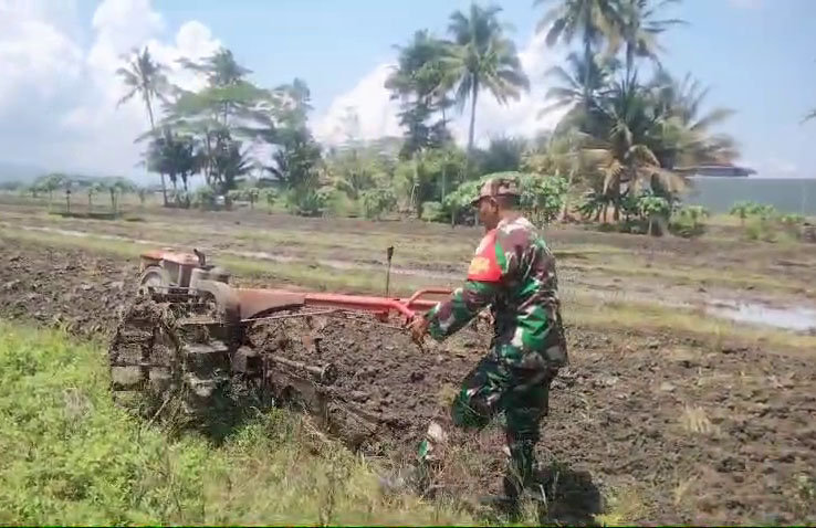 Dukung Hanpangan, Babinsa Koramil 1317/Banjarsari Bantu Warga Bajak Sawah