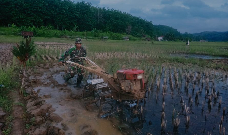 Wujud Nyata Kepedulian TNI Terhadap Ketahanan Pangan