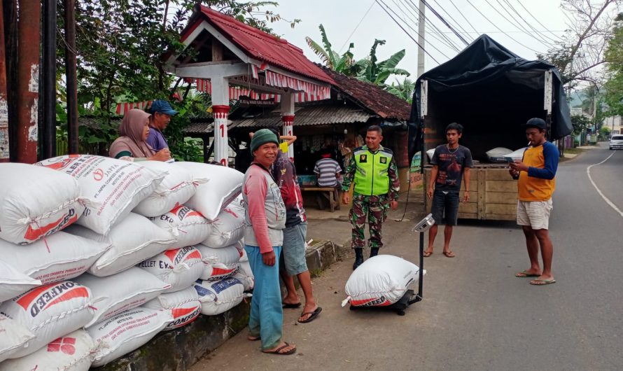 Dukung Ketahanan Pangan, Babinsa Mekarsari Dampingi Bulog Serap Gabah Petani