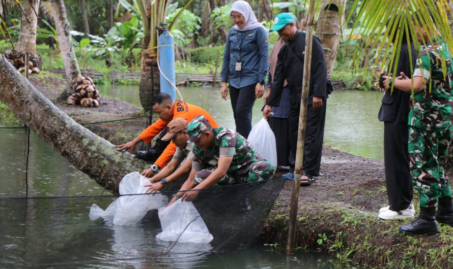 Dari TMMD untuk Desa: Warga Sukamulya Dapat Ilmu Bertani, Beternak, dan Budidaya Ikan